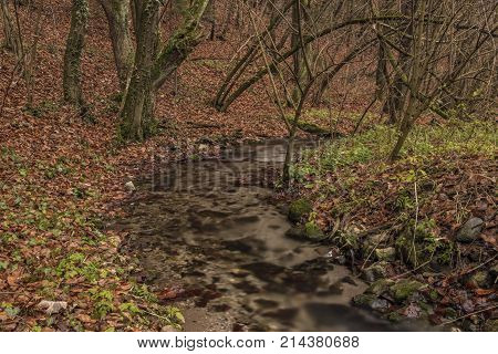 Bansky Creek Near Spania Dolina Village Near Banska Bystrica City