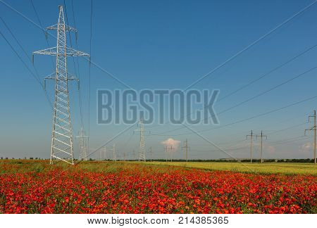 High-voltage power lines on the poppy fields of the Crimea