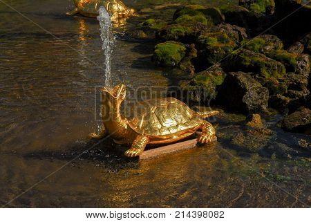 Saint Petersburg, Russia - August 7, 2007: Turtle fountain at Peterhoff Palace in St. Petersburg Russia