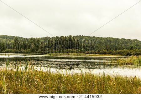 Canada Ontario Lake Of Two Rivers Natural Wild Landscape Near The Water In Algonquin National Park
