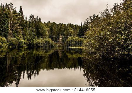 Canada Ontario Lake of two rivers - natural wild landscape near the water in Algonquin National Park