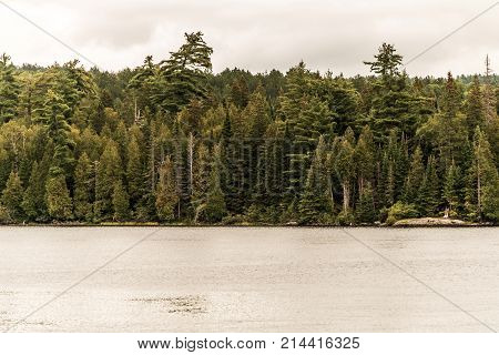 Canada Ontario Lake of two rivers - natural wild landscape near the water in Algonquin National Park