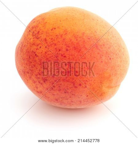 One apricot isolated on white background cutout