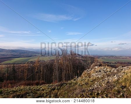 Meadow and forests in spring time in landscape