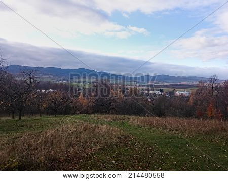 Meadow and forests in spring time in landscape