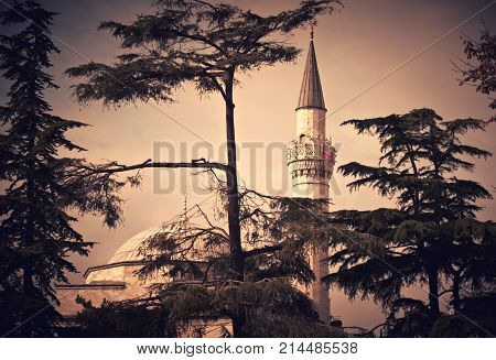 Pines and Minaret of a Firuzaga Mosque in Istanbul. Toned image.