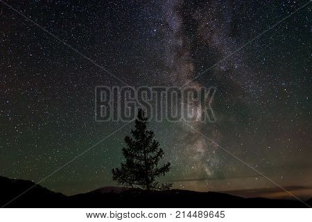 Beautiful night landscape with a galaxy Milky Way in a starry sky over the mountains and spruce in the foreground