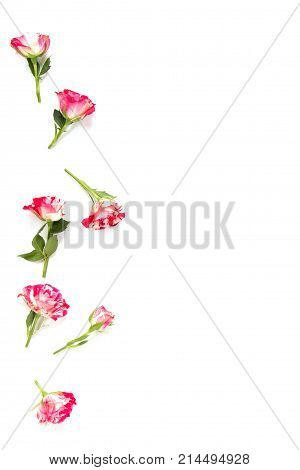 Flowers composition. Frame made of rose flowers. Flat lay, top view, copy space