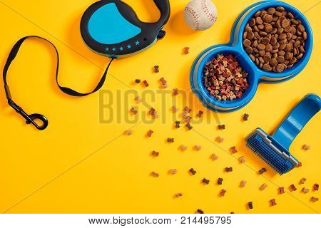 Dog accessories on yellow background. Top view. Pets and animals concept. Still life. Copy space. Flat lay