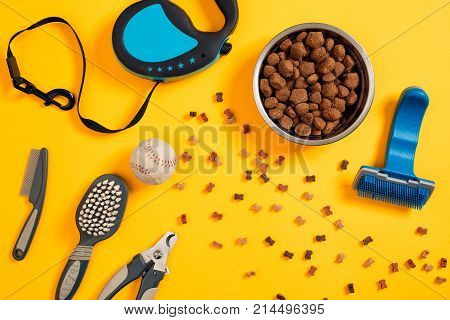 Dog accessories on yellow background. Top view. Pets and animals concept. Still life. Copy space. Flat lay