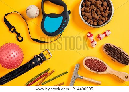 Dog accessories on yellow background. Top view. Pets and animals concept. Still life. Copy space. Flat lay