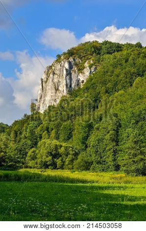 Sunny summer landscape. Beautiful green Jurassic valley in Poland.