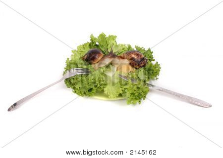Escargots comme dîner