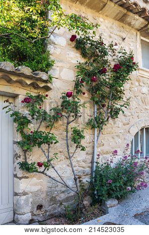 Old house in town Oppede-le-Vieux in Provence France