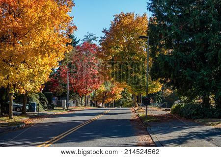 A street in Burien Washington leads toward Autumn trees.