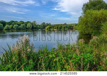 Boats on the lake in a country park on a summer day. Wild plants in the foreground.