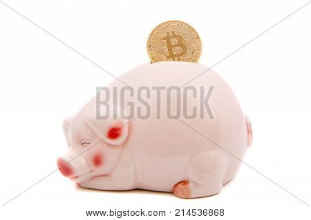 bitcoin saving in a piggy bank on white background