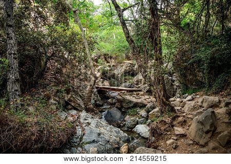 A Small Bridge Crossing Over A Stream On A Hiking Trek To Caledonia Waterfall Near Platres, Cyprus