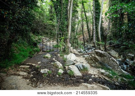 Scenic hiking trek through the forest to Caledonial falls near Platres town central Cyprus