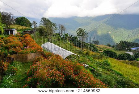 Mountain Village In Ghandruk, Nepal