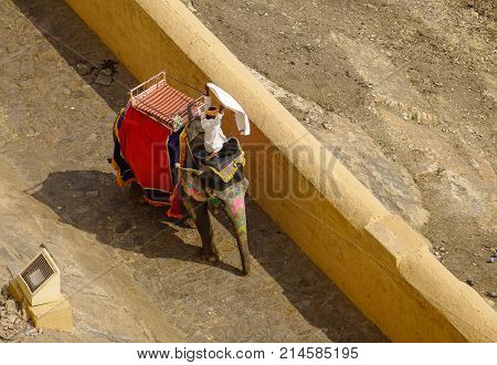 Riding Elephant At Amer Fort In Jaipur, India