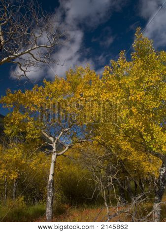 Passaggio d'autunno