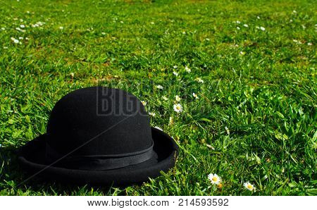 Bowler hat resting on a lawn with daisies