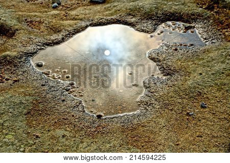 the autumn sun reflected in a small puddle on a stone