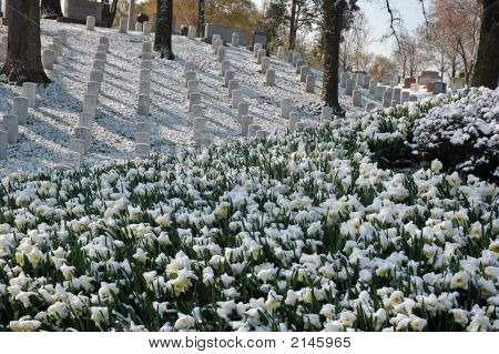Anc の 2007 年 4 月の雪 05