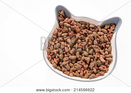 Colorful dry cat dog food in granules in the bowl