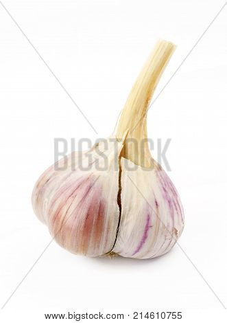 Isolated garlic. Raw garlic isolated on white background