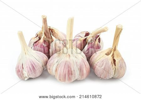 Isolated garlic. Raw garlic isolated on white background