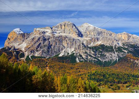 Larch forest in fall colours and The Tofane Group in the Dolomites, Italy, Europe