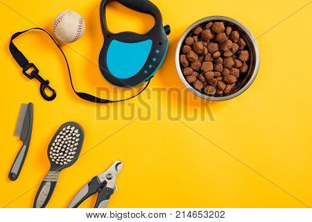 Dog accessories on yellow background. Top view. Pets and animals concept. Still life. Copy space. Flat lay