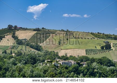 Landscape Near Ascoli Piceno At Summer