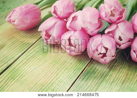 Bouquet Of Pink Tulips