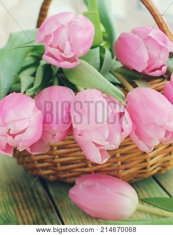 Bouquet Of Pink Tulips