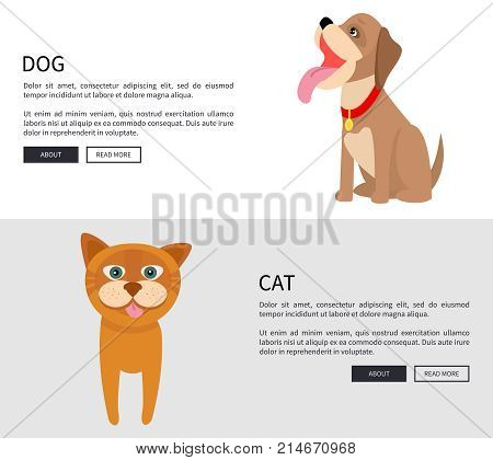 Dog and cat conceptual banner vector illustration on white and grey backgrounds. Two buttons ead and learn more at end of description.
