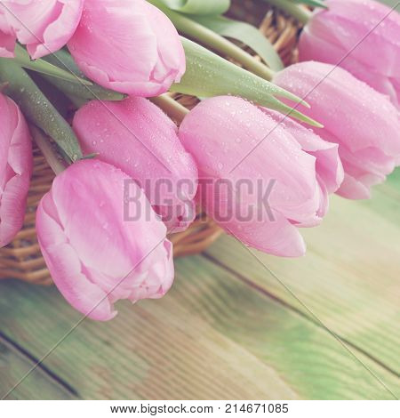 Bouquet Of Pink Tulips