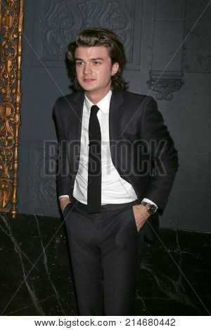 LOS ANGELES - NOV 17:  Joe Keery at 