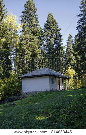 Forest house in the old park Tsarska or Royal Bistritsa  near by  resort  Borovets, Rila mountain, Bulgaria