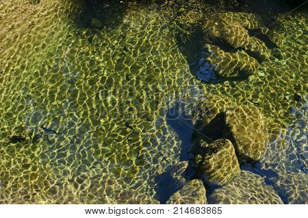 Interesting natural background of water with reflection at lake in Old park Tsarska or Royal Bistritsa near by  
resort  Borovets, Rila mountain, Bulgaria