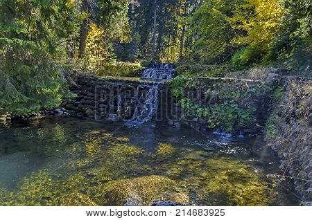 Old park Tsarska or Royal Bistritsa with terraced river, waterfall and differently trees in the venerable autumnal 
forest near by  resort  Borovets, Rila mountain, Bulgaria