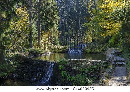 Old park Tsarska or Royal Bistritsa with terraced river, waterfall and differently trees in the venerable autumnal 
forest near by  resort  Borovets, Rila mountain, Bulgaria