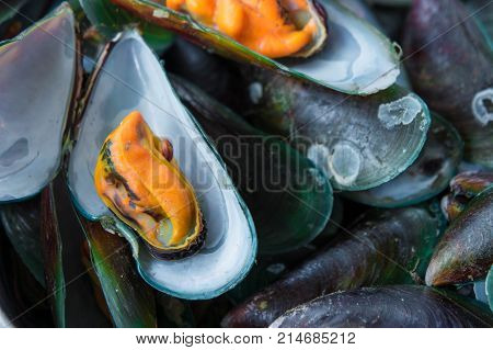 Steaming mussels Delicious seafood, Mussels, Steaming Seafood