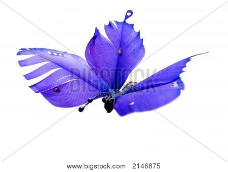 Butterfly_1
