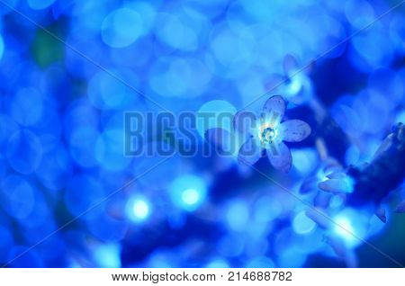 Christmas Led Lights In The Form Of Flowers, Blue Bokeh, Selected Focus