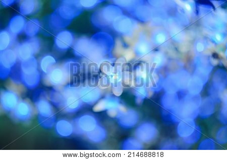Christmas Led Lights In The Form Of Flowers, Blue Bokeh, Selected Focus