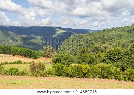 Farm In Valley And Birds In Nova Petropolis