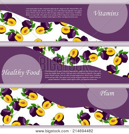Vector square label, plum jam, sauce or juice banner. Ripe plum for food and drink poster, tropical dessert or exotic juice packaging design